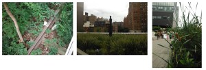 highline2